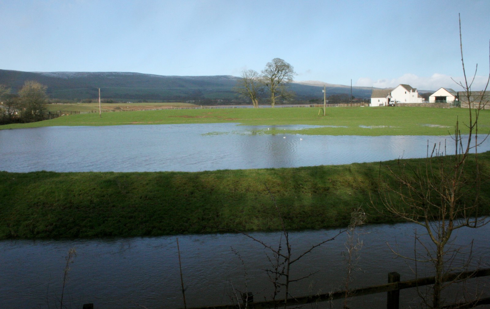 Flooded field